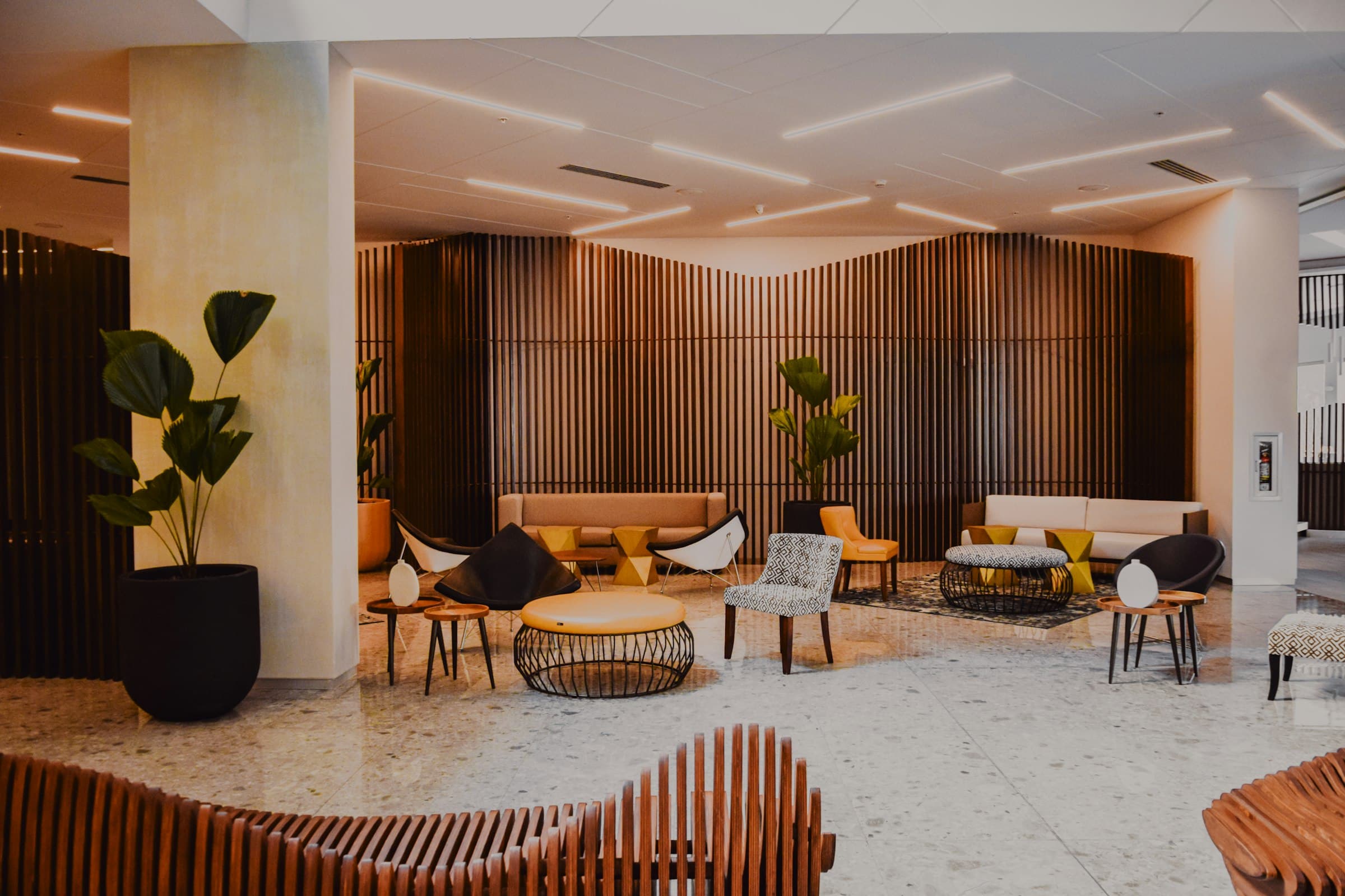 Curved timber slat wall and ceiling detail in a warm interior